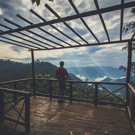 After The Rains - Rainforest Lodge Meppādi Buitenkant foto