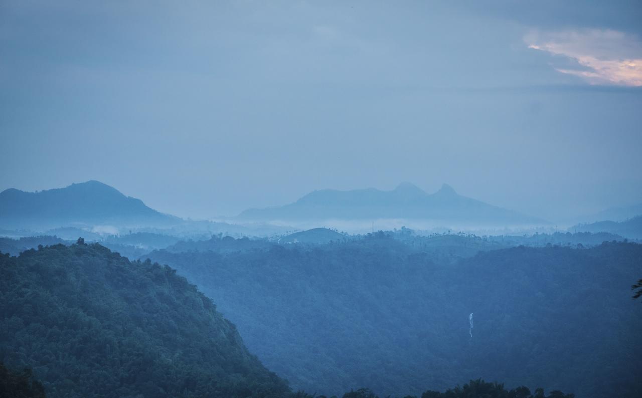 After The Rains - Rainforest Lodge Meppādi Buitenkant foto